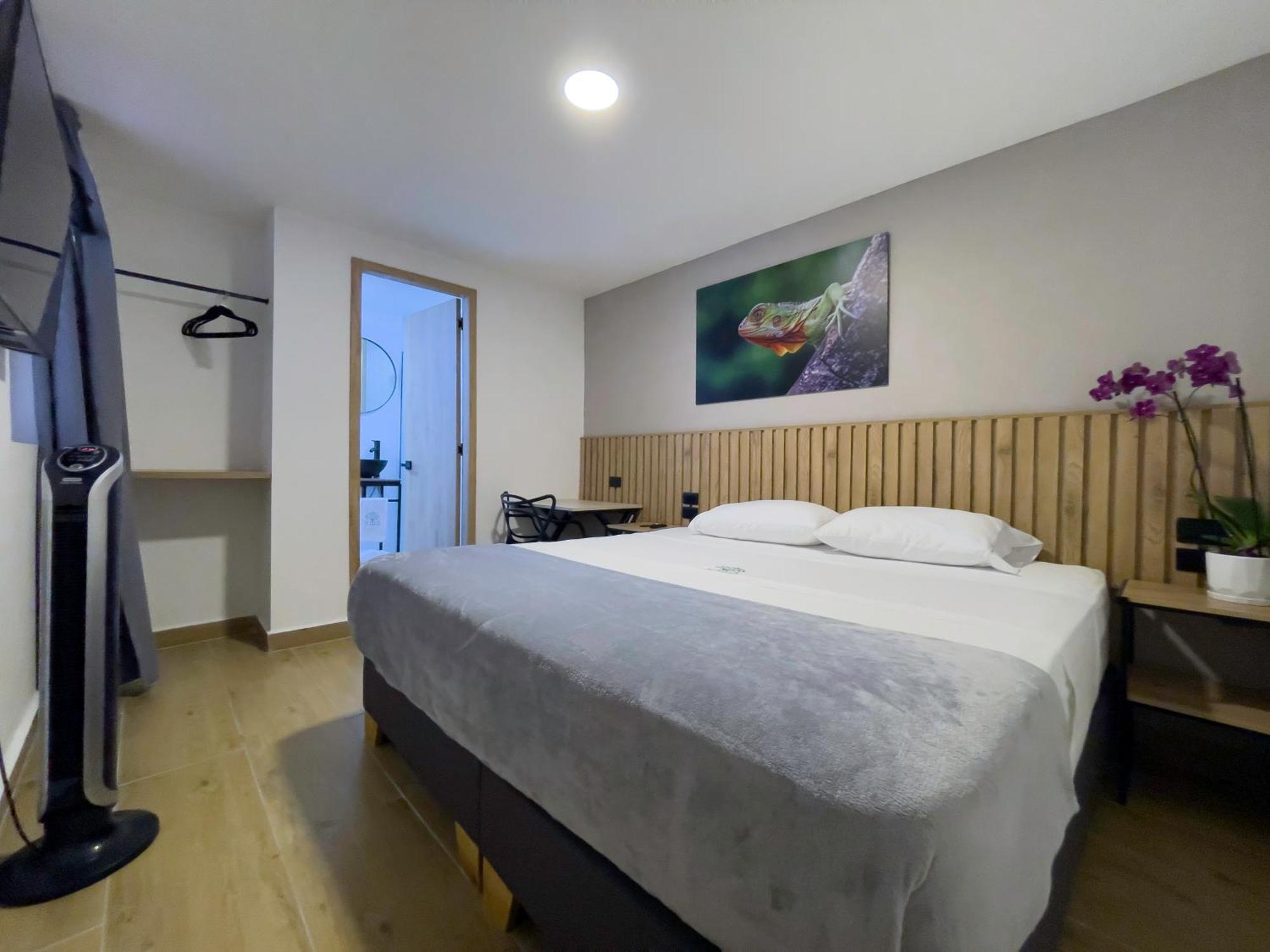 Double or Twin Room